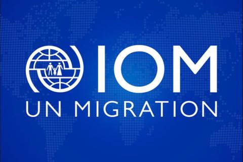 IOM logo resource